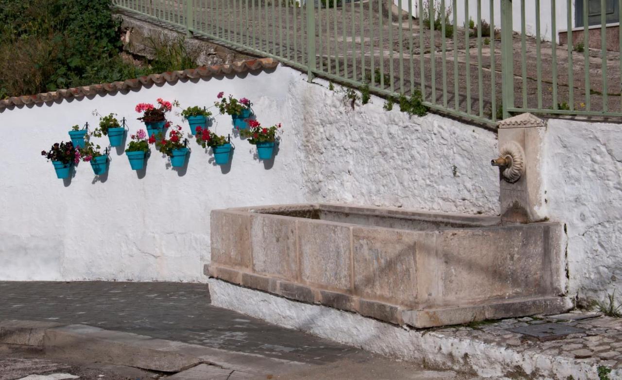 Casa La Oliva Villa Albanchez de Úbeda Екстериор снимка
